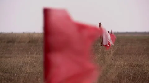 View of pointing flags on runway airfield Stock Footage 59601134