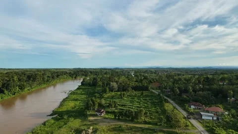 View of polluted muddy river in lush green landscape, water contaminated Stock Footage 333130667