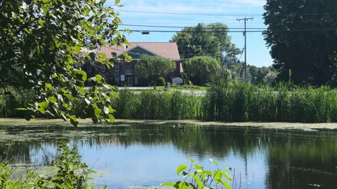 View of Pond and Apartment Complexes in Hampton New Hampshire Stock Footage 220574471