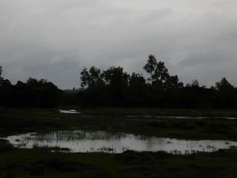 View of pond and dark clouds at the evening Foto stock