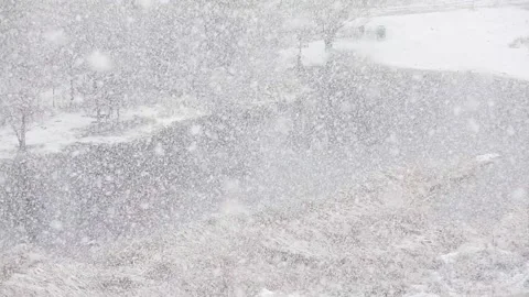 View of the pond during heavy snow Stock Footage 143088924