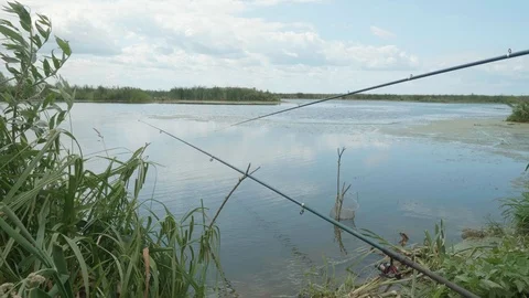 VIew of pond with fishing rod. The rod is taken of water. Day light. Stock Footage 120077853