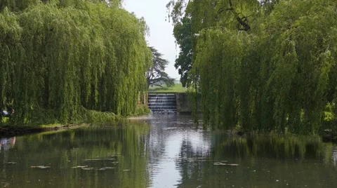 View of a pond Stock Footage 66361145