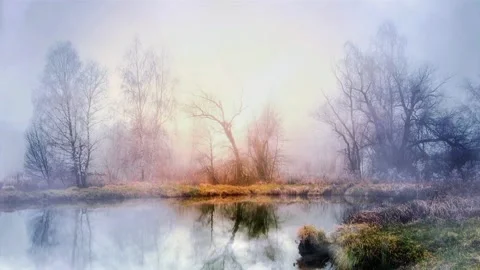 The view of the pond Stock Footage 233555694