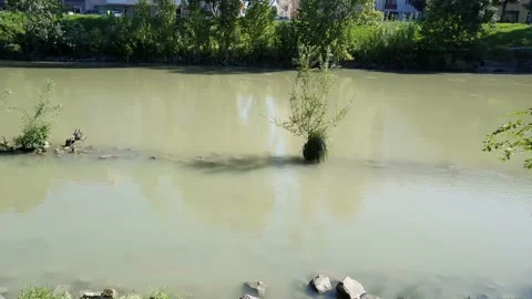 View of the pond with polluted water Stock Footage 138982885