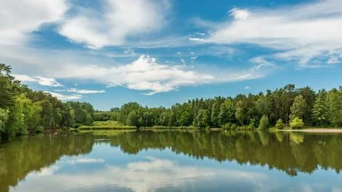 View of pond surrounded with trees with blue cloudy sky Stock Photos