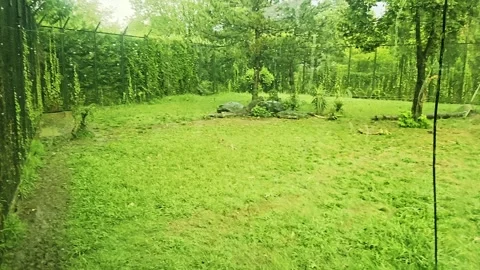 A view a pond through. Stock Footage 284671936