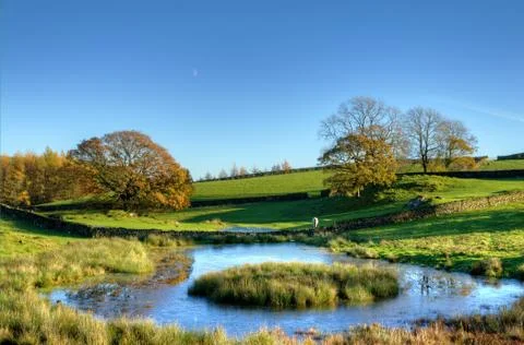 View of a pond with trees Stock-Fotos