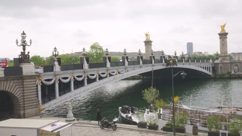 View of the the Pont Alexandre III bridge over the Seine River. Stock Footage 310181867