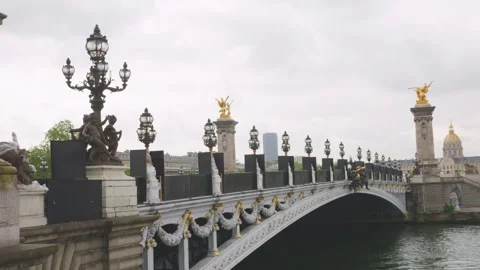 View of the the Pont Alexandre III bridge with elegant decor. Video stock 310181931