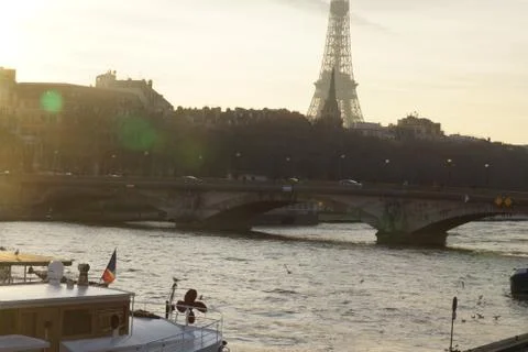 VIEW OF THE PONT ALEXANDRE III WITH THE EIFFEL TOWER - FRANCE Foto stock