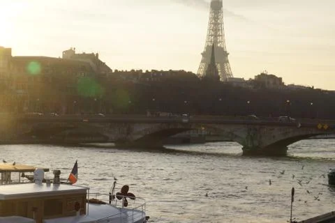 VIEW OF THE PONT ALEXANDRE III WITH THE EIFFEL TOWER - FRANCE Stock Photos