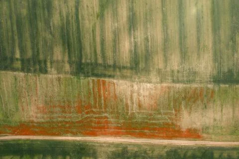 View of the poppy fields from a drone. Stock Photos