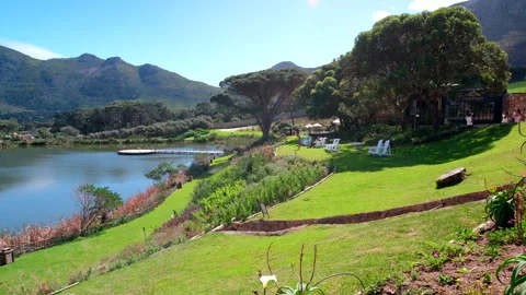 View of popular Cape Point Vineyards with grass lawns next to dam in Noordhoek Video stock 316723912