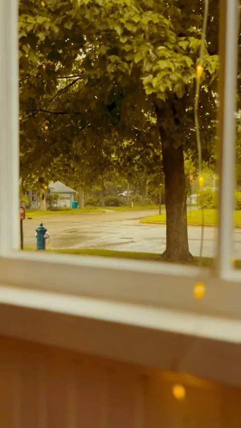 View from porch Video stock 279520520