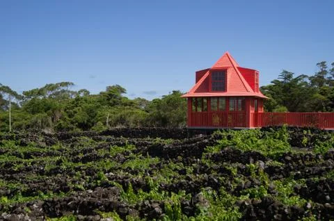 View post of the wine museum Stock Photos