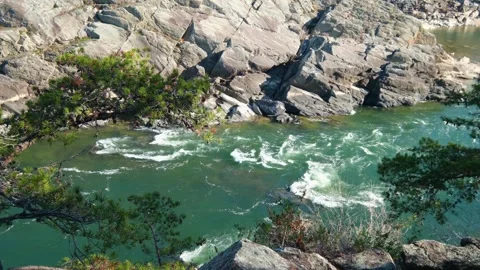 View of the Potomac River rapids at Great Falls Park, United States. Stock Footage 333527016