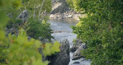 View of the Potomac River running through Virginia forest Stock Footage 91892916