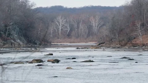 View of the Potomac River at Scott's Run Nature Preserve, United States. Video stock 333526262