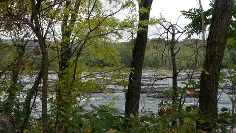View at Potomac river thrue forest in autumn 스톡 동영상 82411230