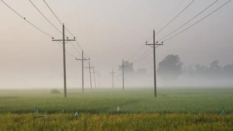 View of power lines over misty fields in Bangladesh. Vídeo Stock 335619371