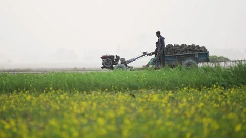 View of a power tiller driving through a rural field, Bangladesh. 스톡 동영상 334973531