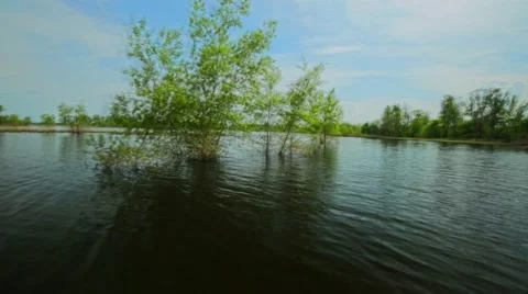 View from powerboat Stock Footage 65302547