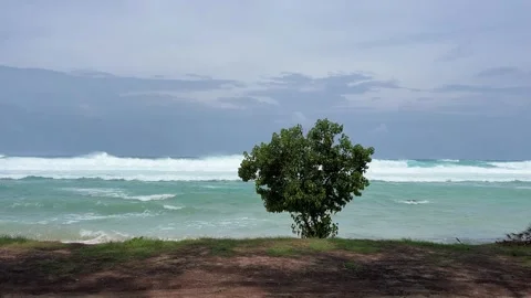 View of powerful high waves crashing in the Indian Ocean during a cyclone Stock Footage 303362669