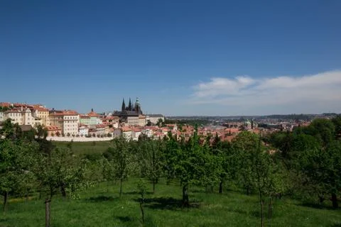 View on the Prague Castle Stock Photos