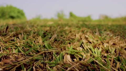 View of the prairie expanse. Stock Footage 245576085