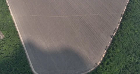 View of preserved forest and grain monocultures in Sorriso, drone tilt shot Stock Footage 315471874