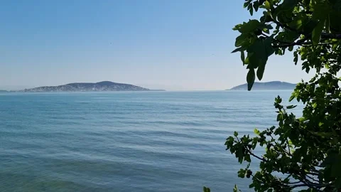 View of the Prince islands through the trees, Maltepe Stock Footage 259835881
