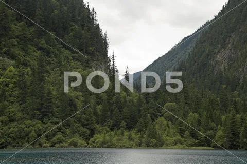 View of pristine forest and valley Stock Photos