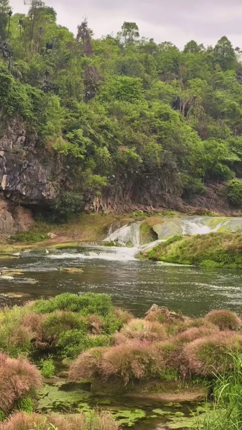 View of pristine river flowing through lush green mountain landscape with Vidéo 333605053