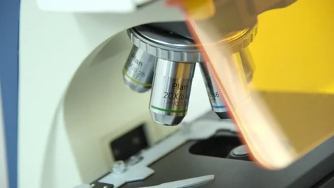 View of a professional microscope. Stock Footage 129028926