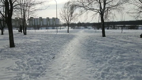 View of the public park Stock Footage 170532558