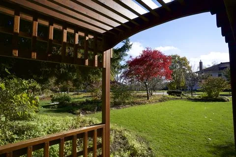 The view of the public park with maple tree and canopy Stock Photos
