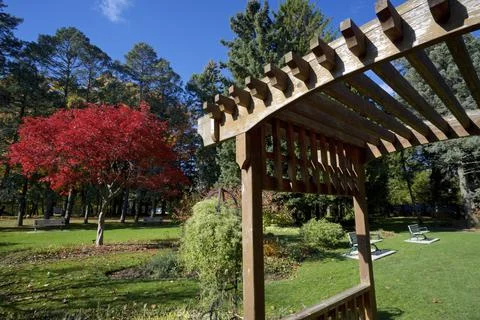 The view of the public park with maple tree and canopy Stock Photos