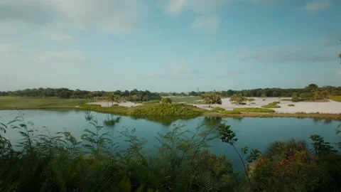 View of Punta Cana landscape with lake and palm trees, Dominican Republic. 库存影片 340642008