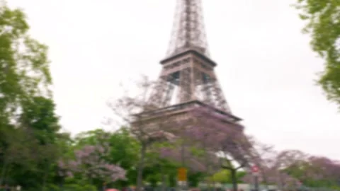 View from the Quai Jacques Chirac to the Eiffel Tower and flowering trees. Stock Footage 310832354
