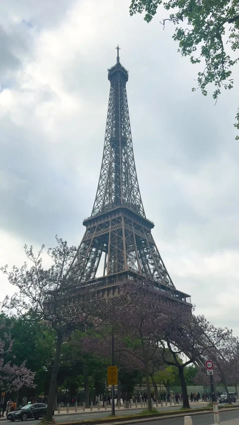 View from the Quai Jacques Chirac to the Eiffel Tower and flowering trees. Stock-Footage 311943512