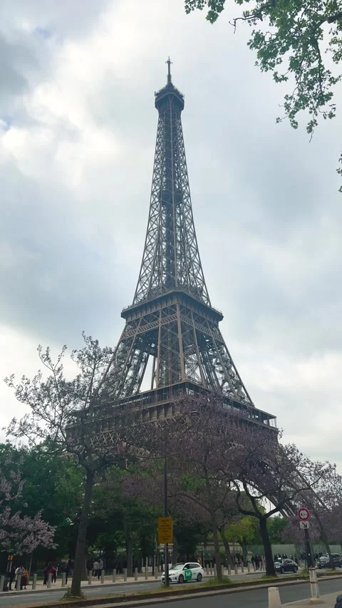 View from the Quai Jacques Chirac to the Eiffel Tower and flowering trees. Stock-Footage 311943962
