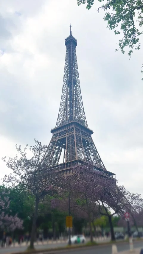 View from the Quai Jacques Chirac to the Eiffel Tower. Video stock 341247307