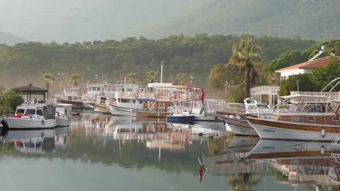 View Of A Quiet Harbor With Many Moored Boats In Soft Lighting Stock Footage 195980916