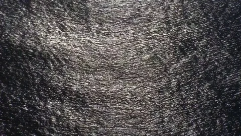 View on a quiet Ocean Stock Footage 75844815