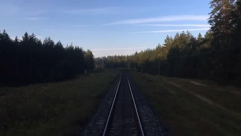 View of the rails and forest from the train, accelerated shooting on summer day Stock Footage 79442343