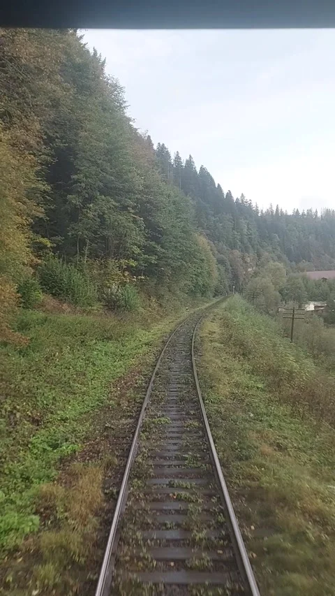 View of the railway from the last car of the train. A train rushes along the Stock Footage 317990595