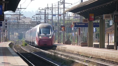 View of the Railway Station With a Passing Train on the Track Stock Footage 245431267