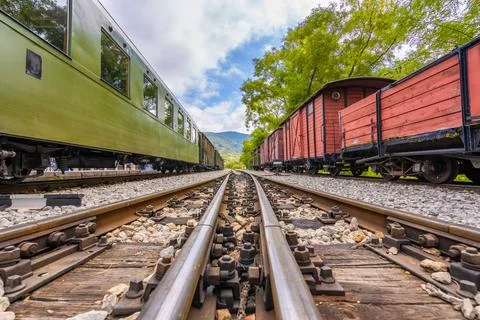 View to a railway track between trees and trains Stock Photos