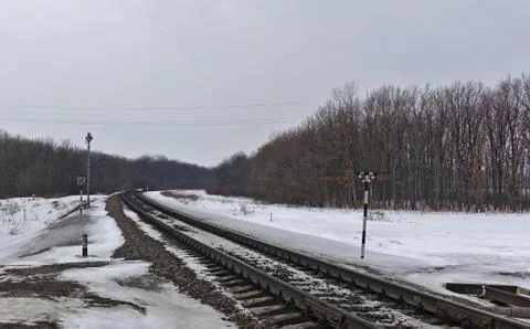 View of the railway in winter 库存照片